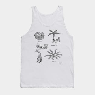 Sea Creatures | Star Fish Sea Cucumber Sea Urchin Tank Top